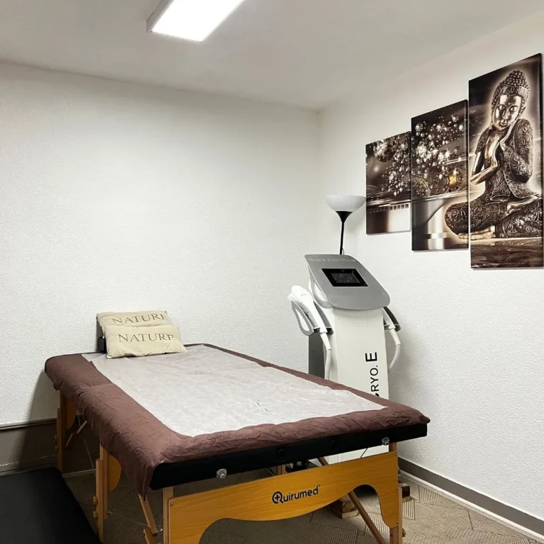 Équipement moderne pour épilation définitive laser à Issoire
